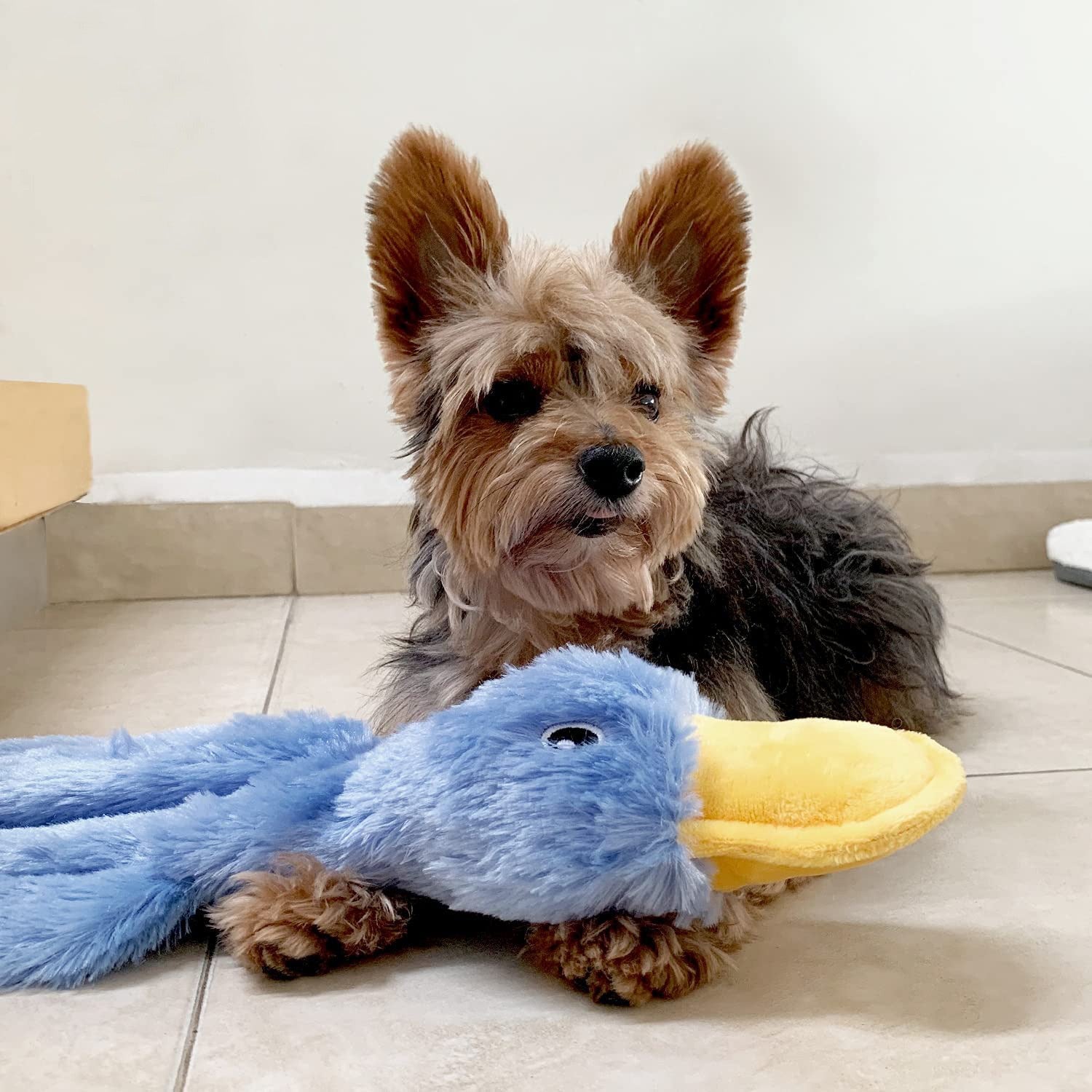 Pet Supplies Pet Filling Dog Toys Cute Unfilled Duck Chewing Plush Sound Toy Duck by eprolo