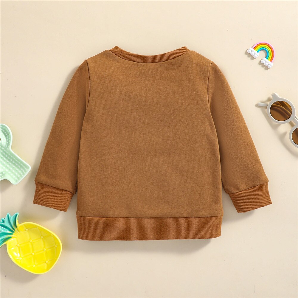 1-6T Infant Kids Baby Girls Tops Clothes Long Sleeve Rainbow Print Clothes Hoodie Sweatershirts Spring Autumn Outfits